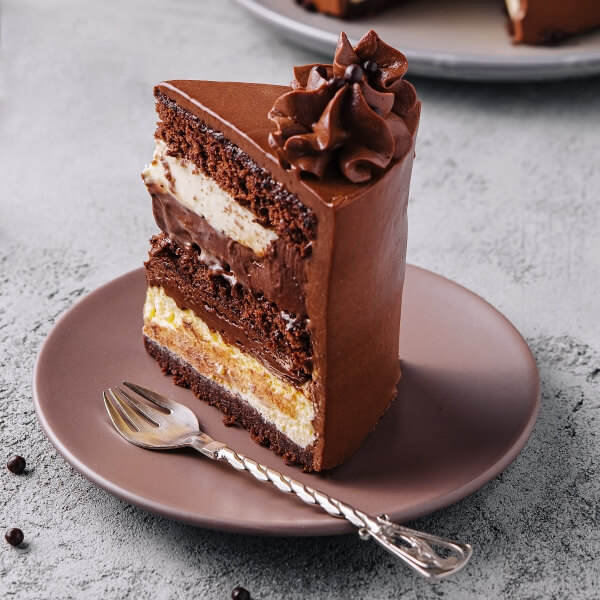 plate-with-slice-of-tasty-homemade-chocolate-cake-2023-11-27-04-50-54-utc-1.jpg