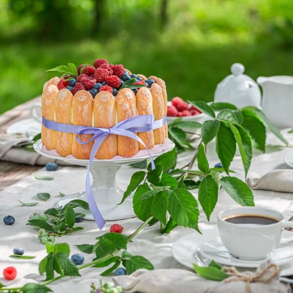 sweet-yoghurt-cake-with-blueberries-and-raspberrie-2023-11-27-04-56-52-utc-1.jpg