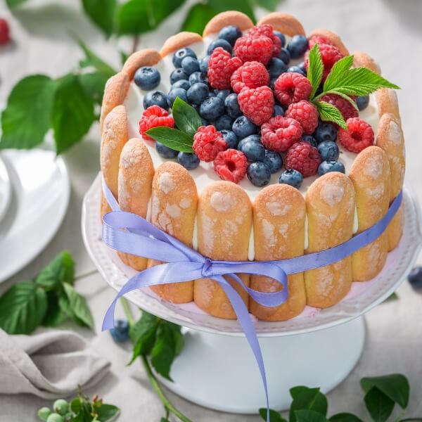 tasty-yoghurt-cake-with-raspberries-and-blueberrie-2023-11-27-05-30-30-utc-1.jpg